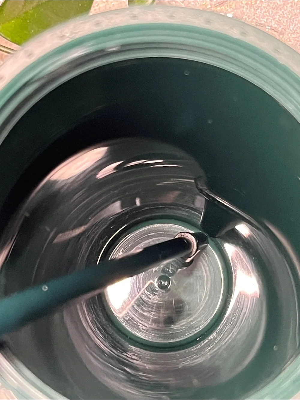 Starbucks Dark Green Studded Cold Cup Tumbler 24 oz NWOT with Straw